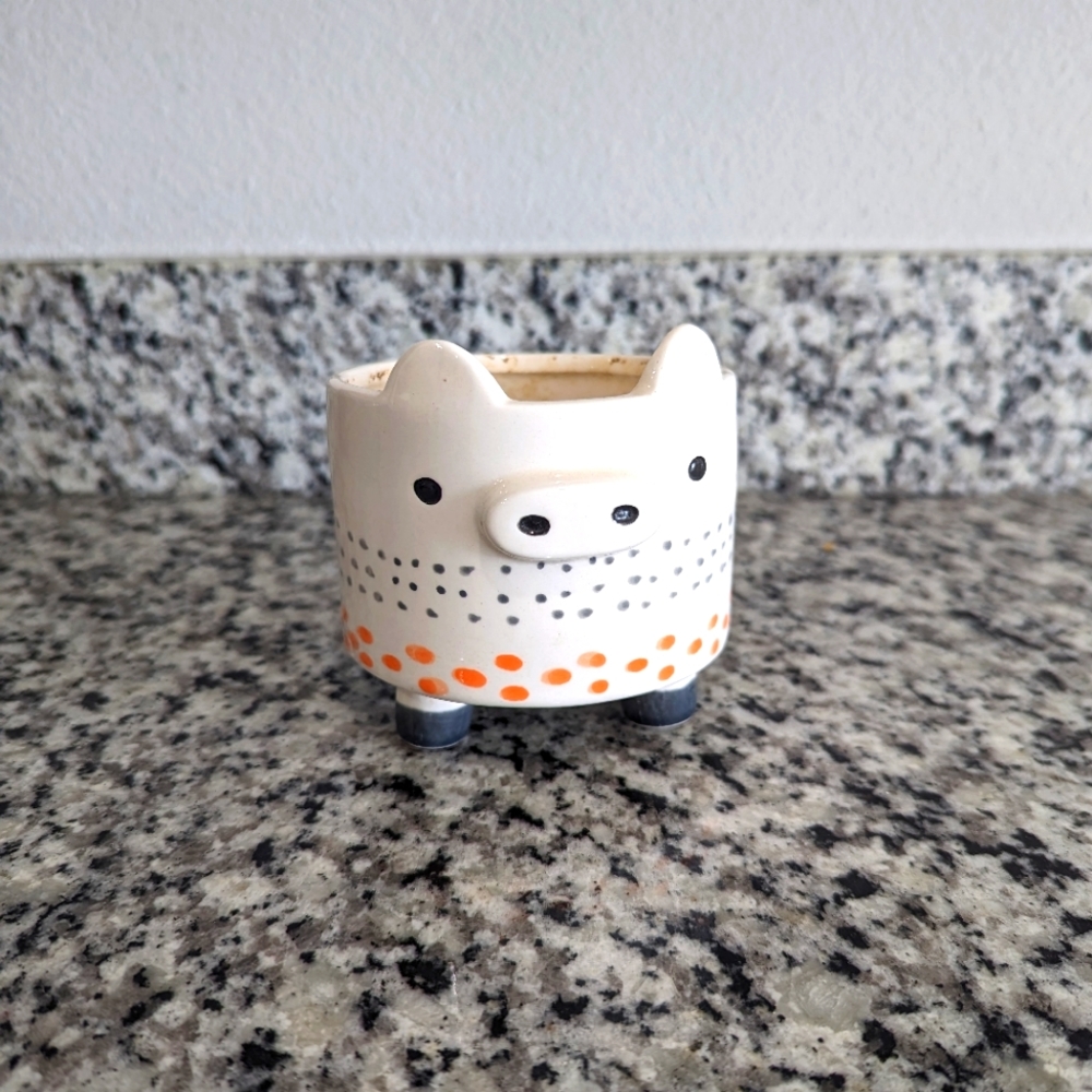 Cute Piggie Pot for Potted Plant Chia Pet pig Planter